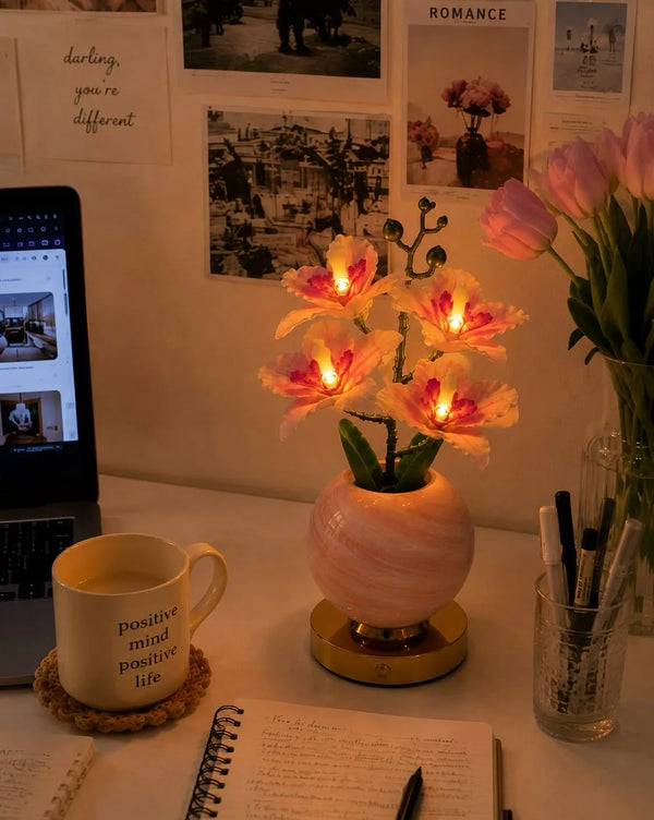 Orchid Bloom