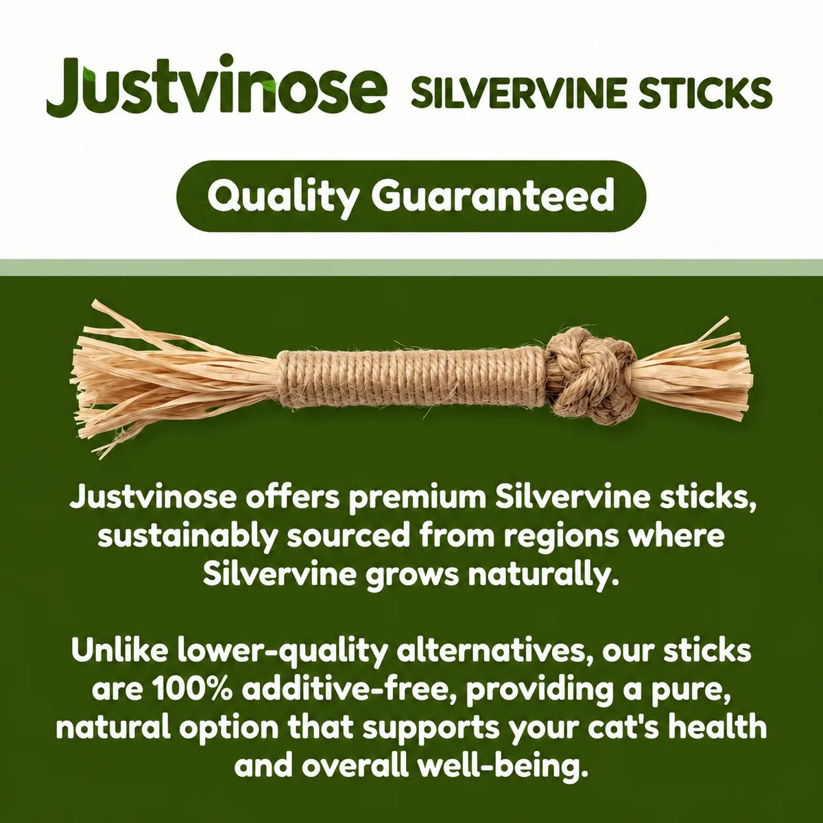 Natural Silvervine Dental Chews