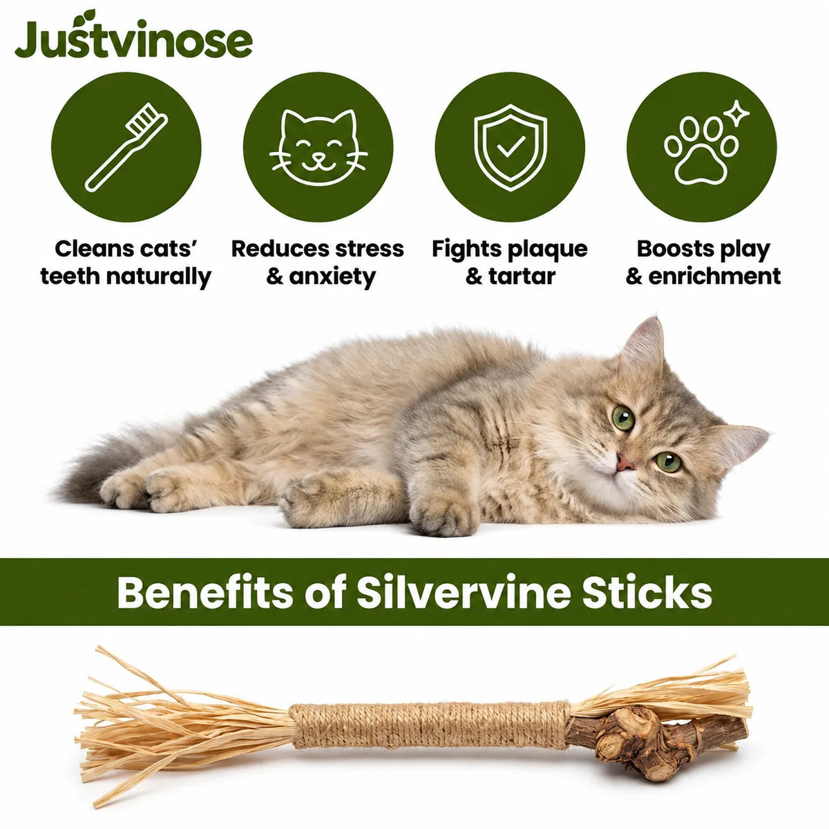 Natural Silvervine Dental Chews